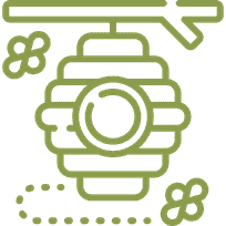 Apiculture
