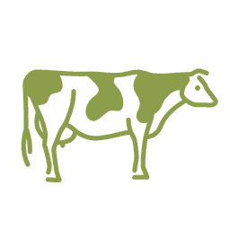 Animaux