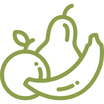 Fruit